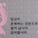 대운랜드 티스토리