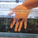 나비공원1(자연교육센터) | 인천나비공원 자연교육센터 - 아이들과 함께 가기 좋은 도심 속 자연힐링생태학습장