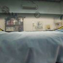 철이모터샵 | 안성테슬라썬팅 테슬라모델3 신차패키지 버텍스 틴팅, PPF 시공 후기