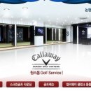 영 스크린골프 이미지