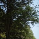 더채운하우스 이미지