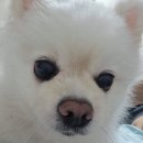 차칸골프투어 | 23년 8월 일기(8.7-8.13) : 나는 너의 음악이고 그런 마음 한 줄이야🎼✍🏻