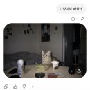장원다방 - 예천군 낙상2길 35 | 굶주린 대학생