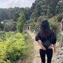 서봉산산림욕장 이미지