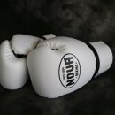 알파복싱 이미지