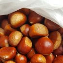 신원농장 이미지