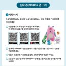 닥터만실