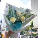 리라소프트 이미지