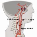 연세우리내과의원 네이버블로그