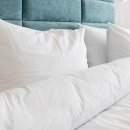 지성세탁 이미지