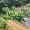 정관농장 이미지