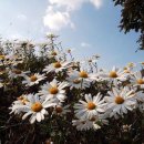 우리들의 사랑 이미지