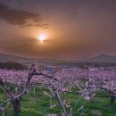 선웅농원 이미지