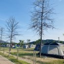 황산공원 캠핑장 일반사이트 이미지