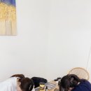 인베뉴 스튜디오