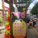 똥강아지애견샵 이미지