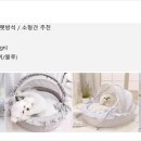 웰스케어협동조합 이미지