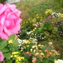 부천극동아파트 이미지