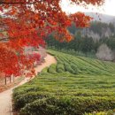 가을여행 이미지