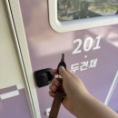 이지캠핑장 | 청량산 수원캠핑장 이지캠핑장 201호 두견채 후기