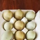 정숙농장 이미지