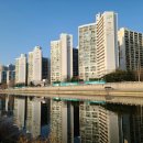 서초진실부동산중개 이미지