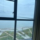 브라운도트거북섬점 이미지