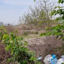 월곶행정사 이미지