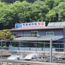 옥동양어장 횟집 이미지