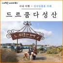 광치기해변 | 제주 동쪽 성산일출봉 카페 드르쿰다 성산 제주 광치기해변 유채꽃 후기