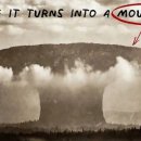 인구로스페이스 | 세계 이모저모 2