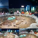 석화어린이집 이미지