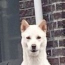 신도림2차동아아파트 | 🔥 신도림 숯불닭갈비 맛집 <팔각도 신도림역점> 방문 후기