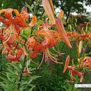 월촌농장2 이미지