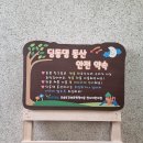 나무내음