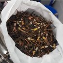 고향건강원 이미지