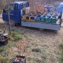 이목농장 이미지