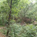 원주굽이길 1코스 배부른산길 이미지