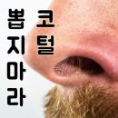 코털을 뽑으면 안되는 이유 이미지