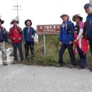 대광리 은행나무 이미지