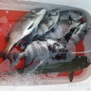 남해-318 이미지