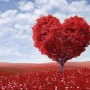 0909타이어 이미지