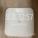 진주사 | 인천 구월동 지방분해주사 3회차 복부, 팔 다이어트 주사 기록 후기 / 가장 슬림해진 기간! 3회차부터...