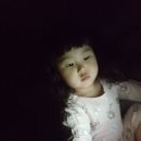 호진갤럭시