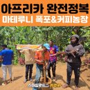 크래프트 유니온 협동조합 | 아프리카 세미 패키지 | 마테루니 폭포 &amp; 커피농장 투어