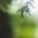 까페모먼트 이미지