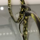 스트라우스안경 이미지