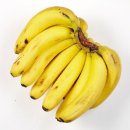 [영양소 100％ 조리법 ①]당근의 `생장점`을 잘라내세요​~⑦얼린 바나나는 노화 방지에 탁월 이미지