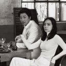 배두나 카카오 검색결과