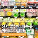 신사 가로수길 말랑이, 슬랑이, 왁뿌볼 파는곳ㅣ종류 진짜 많음
